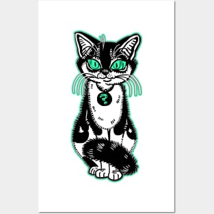 Black and white mystery cat Posters and Art